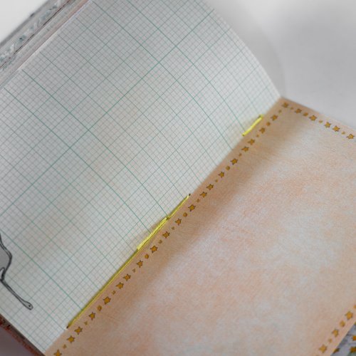 つよっぷ6点　ヴィンテージ 洋書 鳥 バード 紙物 ジャンクジャーナル 教科書/筆記本/文具 ヴィンテージジャーナル、ジャンク