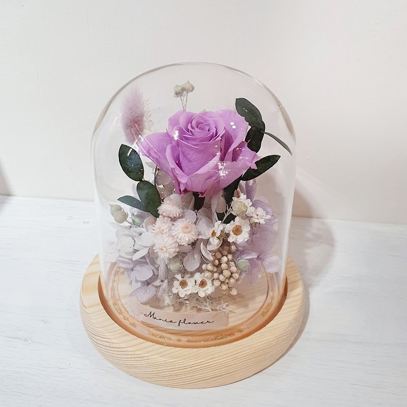 Eternal Rose Glass Shade Night Light Lilac Valentine's Day Gift Opening Gift Studio Birthday - ของวางตกแต่ง - พืช/ดอกไม้ สีม่วง