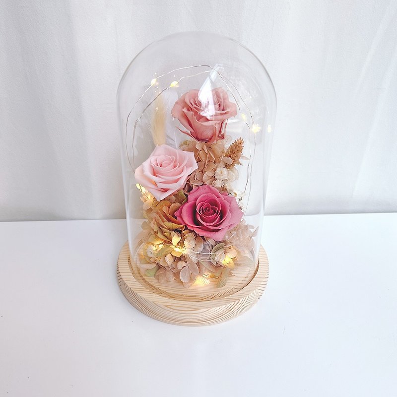 母親節禮盒畢業禮物/客製化禮物 LED三朵玫瑰永生花玻璃鐘罩-藕粉 - 乾燥花/永生花 - 植物．花 粉紅色