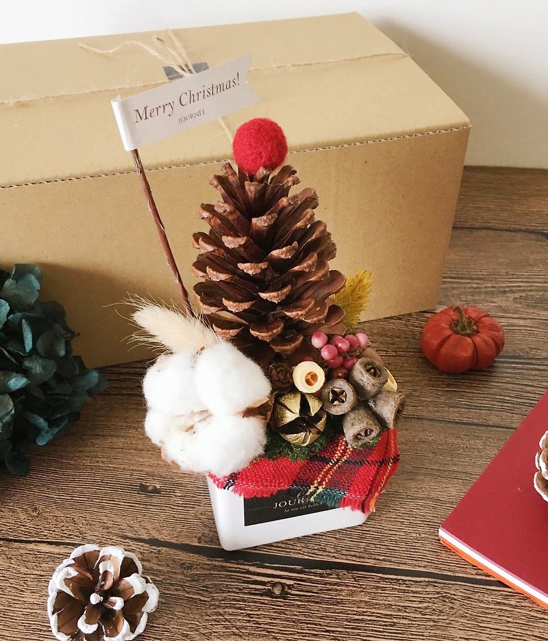 {Journee} favorite Christmas - Christmas tree pine cones potted gift / dried flowers Small potted flowers Christmas gift exchange Christmas gifts - ตกแต่งต้นไม้ - พืช/ดอกไม้ สีแดง