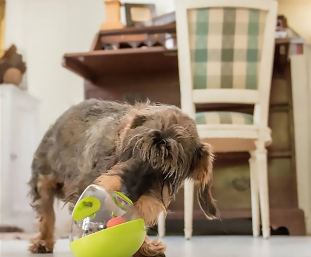 Wobble Ball 2.0 Dog Treat Dispenser Toy (Orange) from PLAY - The