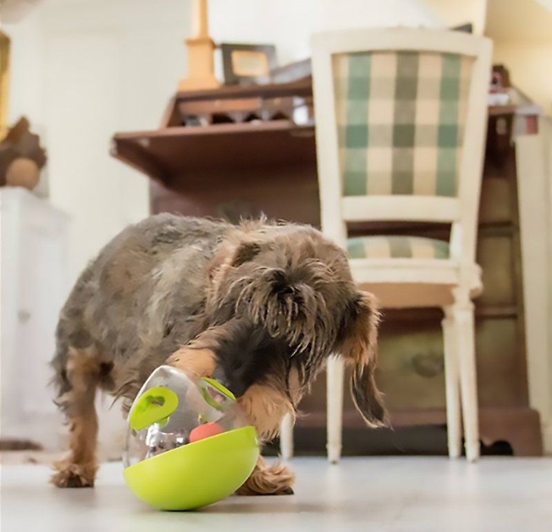 寵物益智玩具 狗狗訓練 沃比搖擺球 漏食 藏食玩具 - 貓/狗玩具 - 塑膠 