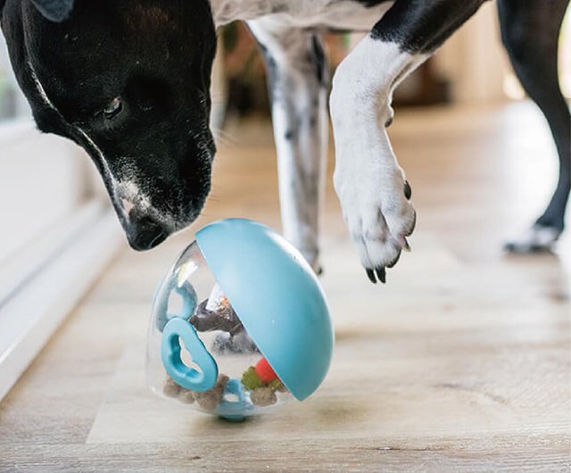 Wobble Ball 2.0 Dog Treat Dispenser Toy (Orange) from PLAY - The