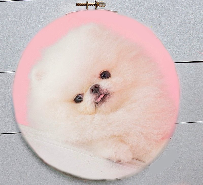 宠物拟真羊毛毡画挂饰-定制化狗狗 -Needle Felted dog, Realistic pet portrait - 似顏繪/客製畫 - 羊毛 多色