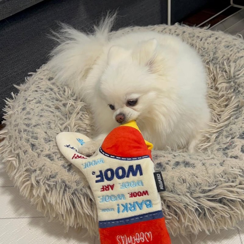 【狗玩具】 CHEWFFON 繽紛彩襪 - 貓/狗玩具 - 其他材質 