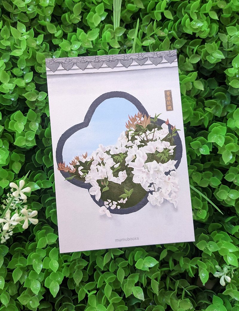 明信片 – 花卉系列 – 香港杜鵑 - 心意卡/卡片 - 紙 多色