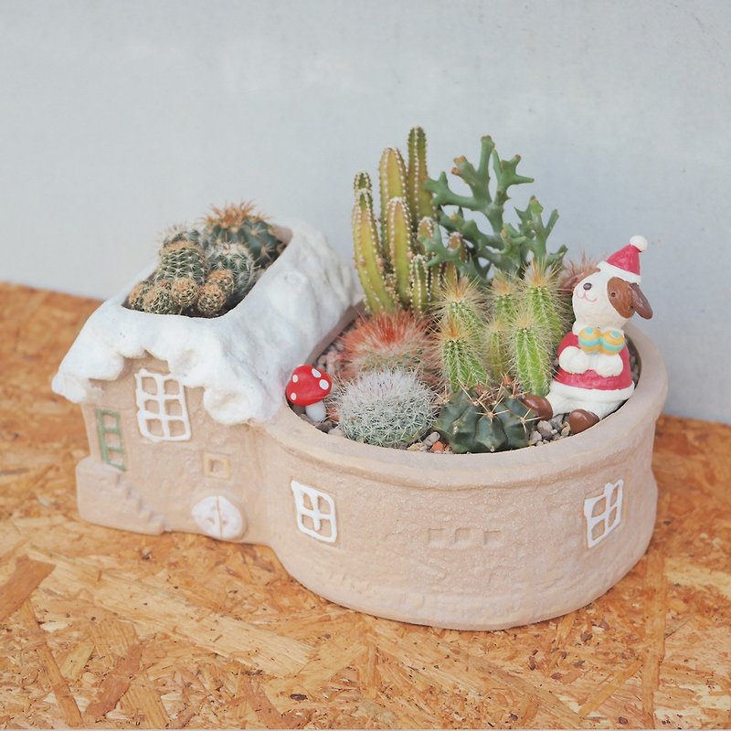 Peas Succulent Plant and Small Groceries - Snow House Garden Cactus Combination - Plants - Pottery 