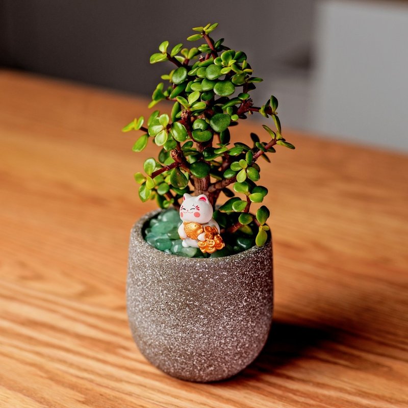 銀杏樹 桌上型水泥盆栽 觀葉植物 禮物 盆栽 交換禮物 辦公室小物 - 植栽/盆栽 - 植物．花 