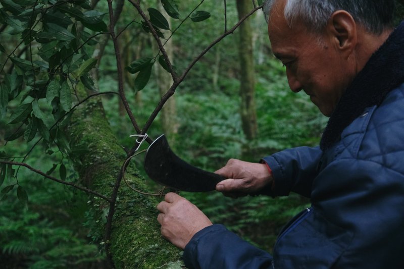 【五倍卷優惠】泰雅竹地野境・卡普部落二日體驗 - 深度旅遊 - 其他材質 