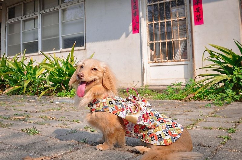 Among_dog harness_Japanese yukata(large size) - Clothing & Accessories - Other Materials 