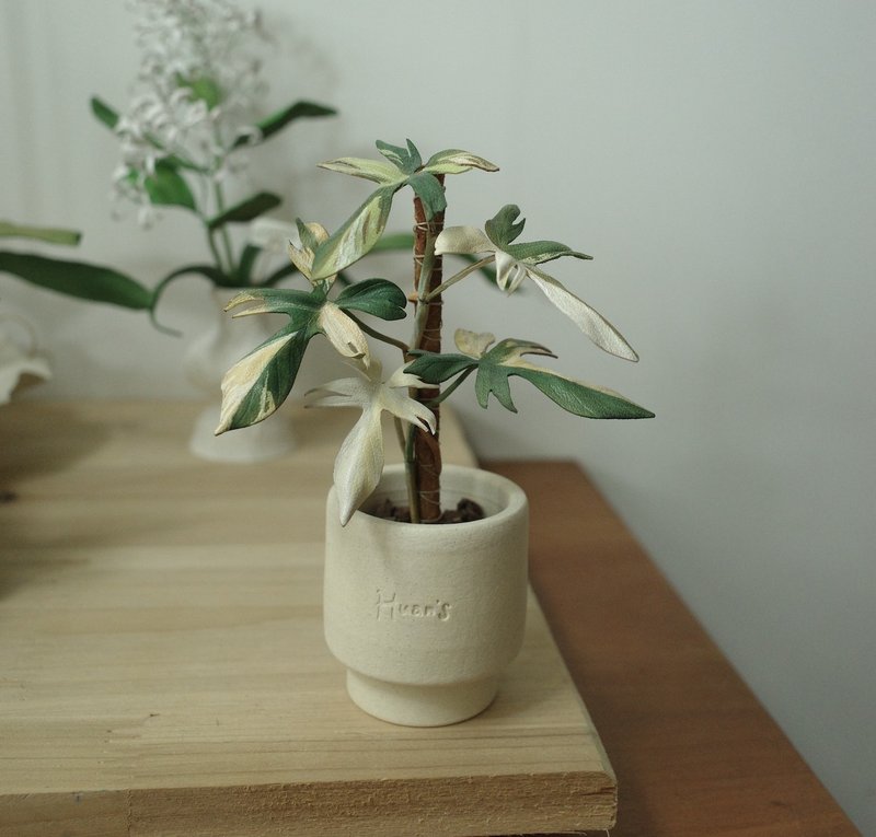 班葉龍爪盆栽 絕版作品僅此一件 - 擺飾/家飾品 - 真皮 