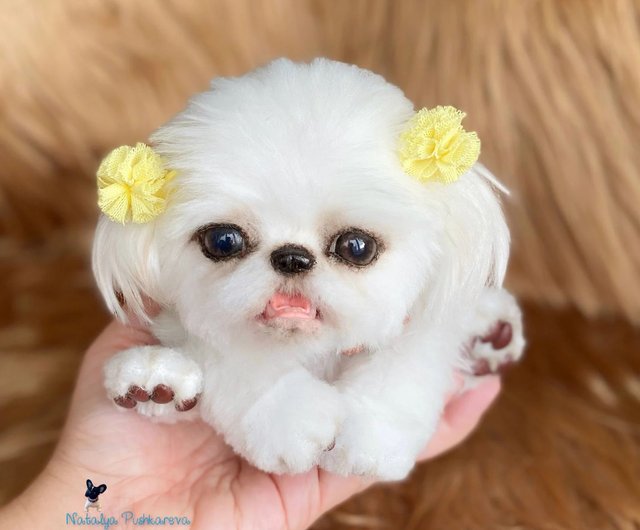 Custom order realistic toy Dog shih tzu - DailyDoll Shop