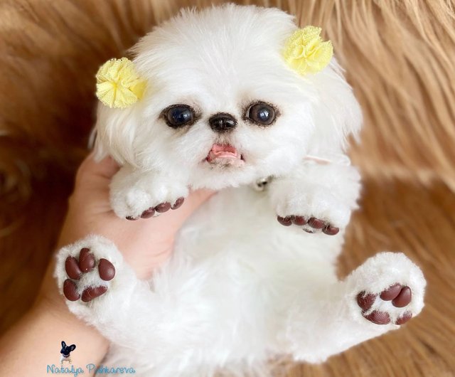 Custom order realistic toy Dog shih tzu - DailyDoll Shop