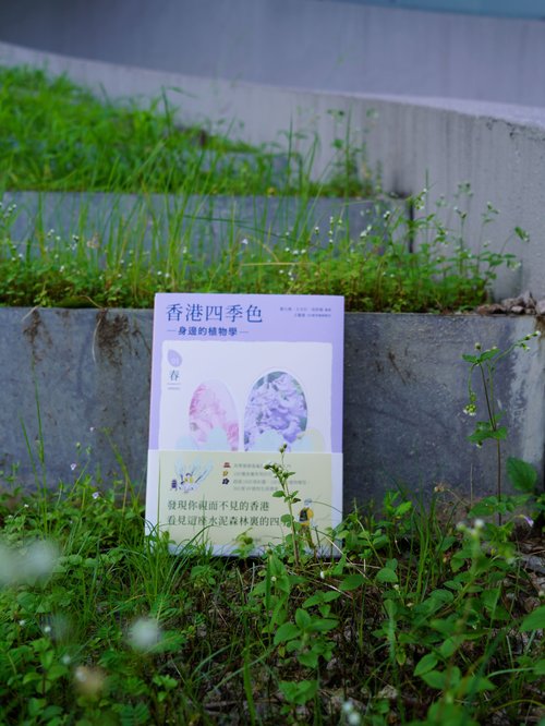 香港四季色 4冊セット 91Zp++KSWvL._UF350,350_QL50_.jpg