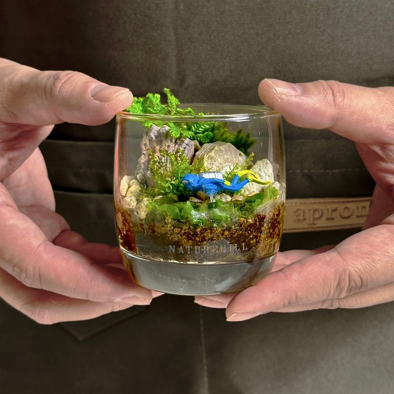 新品上市 深藍之境 / 主題性客製化造景生態杯 - 植栽/盆栽 - 植物．花 