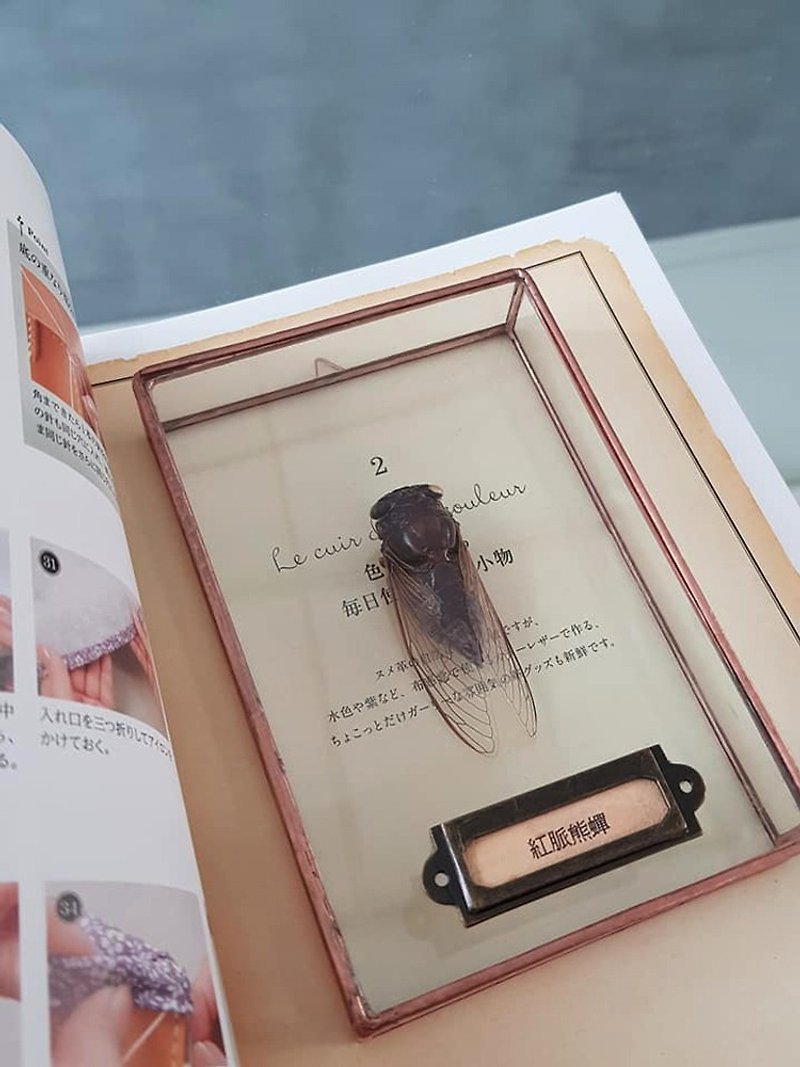 Insect illustrated book ∣ red-veined bear cicada ∣ glass inlay craft ∣ insect specimen - Wall Décor - Plants & Flowers 