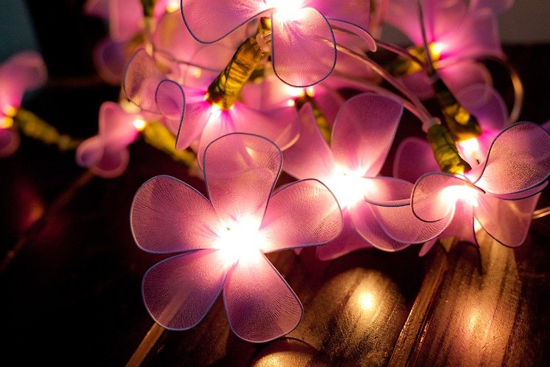 20 Purple Flower String Lights for Home Decoration Party Wedding Bedroom Patio and Decoration