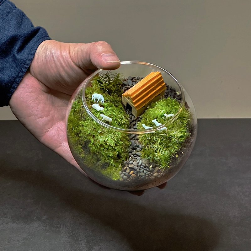 Palm-sized handmade micro-landscape eco-pot – pasture trail - Plants - Plants & Flowers 