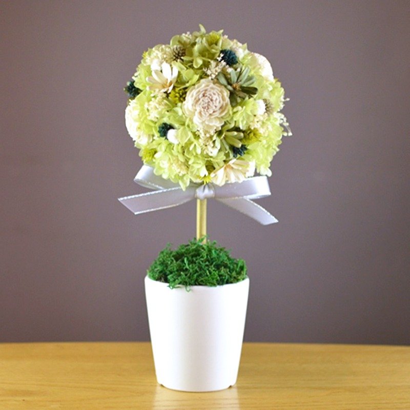 Chun Yang fragrant flowers tree - witty green diffuse fragrant flowers - Plants - Plants & Flowers Green