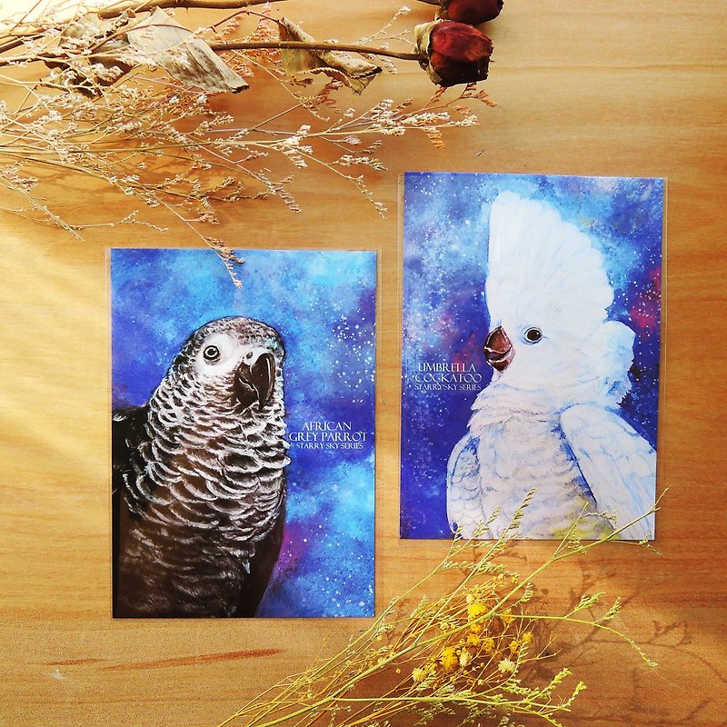 Starry Parrot Postcard Set - การ์ด/โปสการ์ด - กระดาษ สีน้ำเงิน