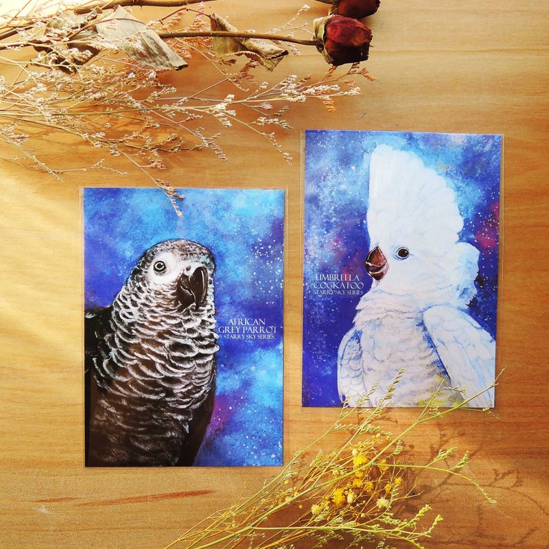 Starry Parrot Postcard Set - Cards & Postcards - Paper Blue