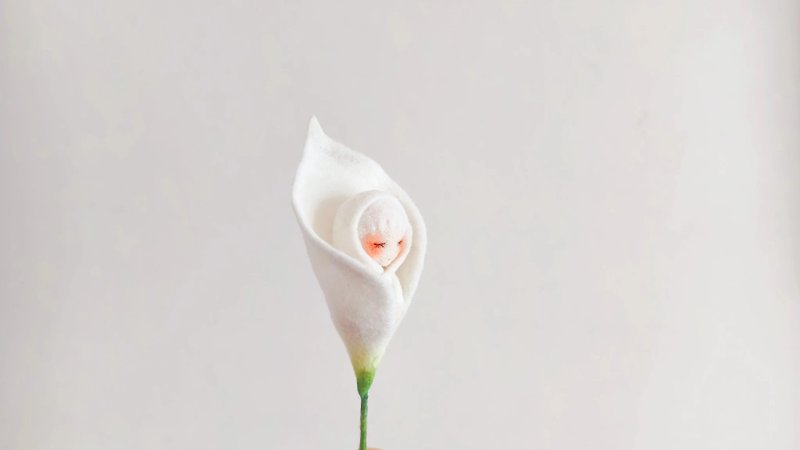 Doll growing in petals - Brooches - Wool 