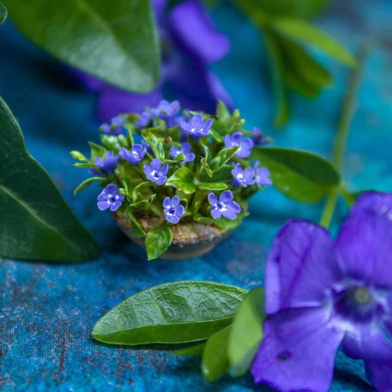 TUTORIAL Miniature periwinkle with air dry clay | PDF + video - 手工藝教學/工具書 - 其他材質 