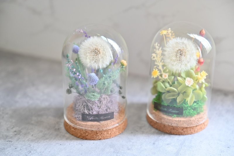 永生蒲公英 I 玻璃盅罩 I 夢想守護小物 - 乾燥花/永生花 - 植物．花 白色