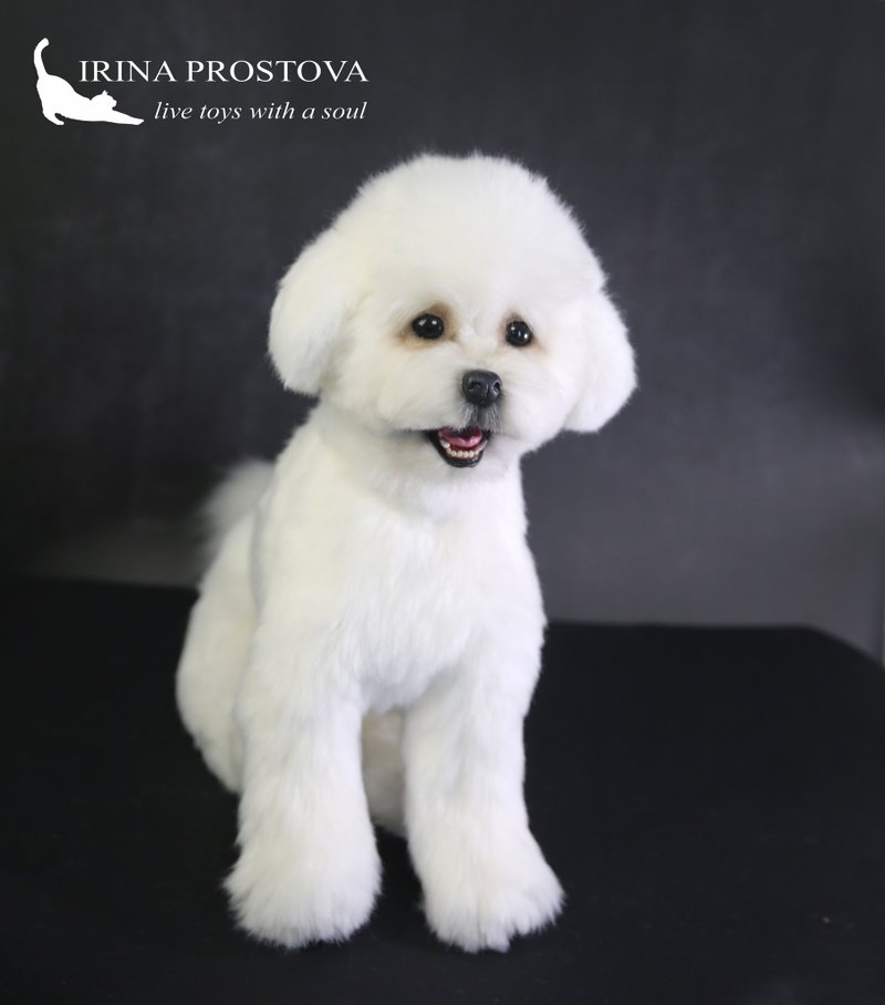 Bichon Frise dog realistic plush toy - 玩偶/公仔 - 其他材質 白色