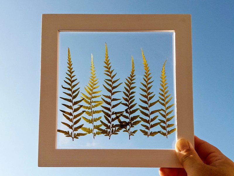 Pressed real flower Frame | Pressed Fern Decor | Gift for Love - Items for Display - Resin Green