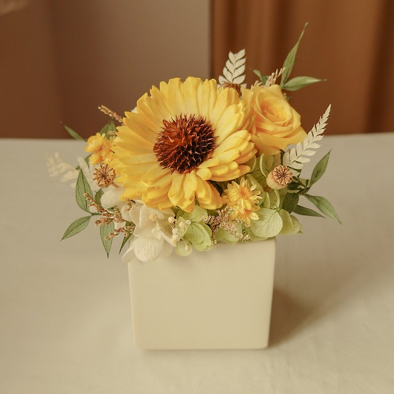 【畢業禮物】小型索拉向日葵擴香盆花-鮮黃色 - 乾花/永生花 - 植物．花 黃色