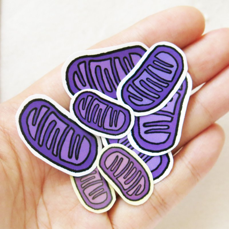 Mitochondria sticker pack (3pcs) - Stickers - Waterproof Material Purple