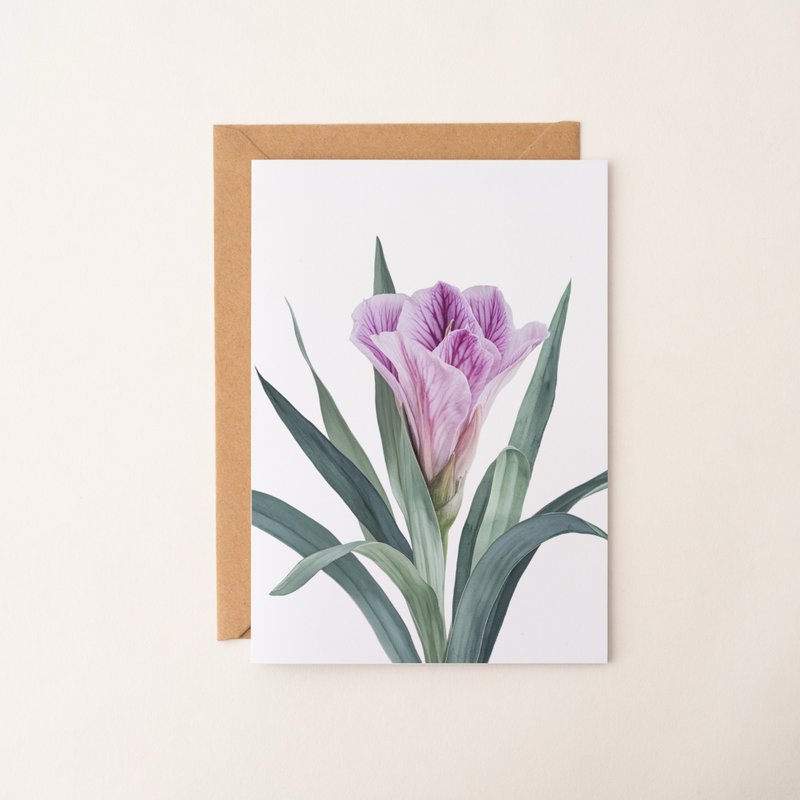 花卉攝影萬用卡片 植物 祝福卡片 生日賀卡 感謝卡 禮品卡 小卡 - 卡片/明信片 - 紙 粉紅色