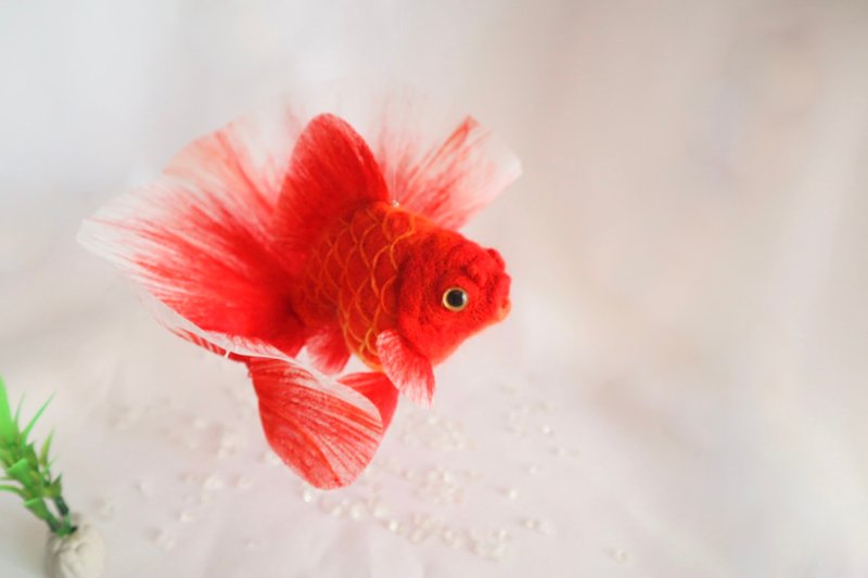 たゆたう金魚モビールXL-猩々土佐錦- - 公仔/玩偶 - 羊毛 紅色