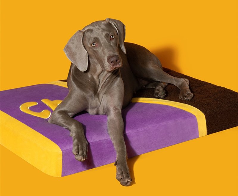 [3D sponge sleeping pad] Open-style sleeping pad for all seasons/fully detachable and washable puppy sponge sleeping pad - Bedding & Cages - Cotton & Hemp Purple