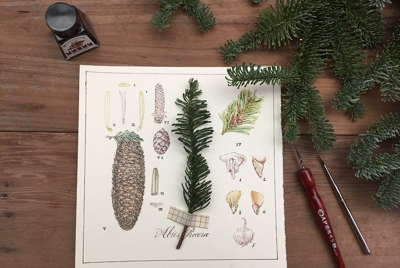 Nobelson plant illustration style Christmas card - การ์ด/โปสการ์ด - กระดาษ ขาว