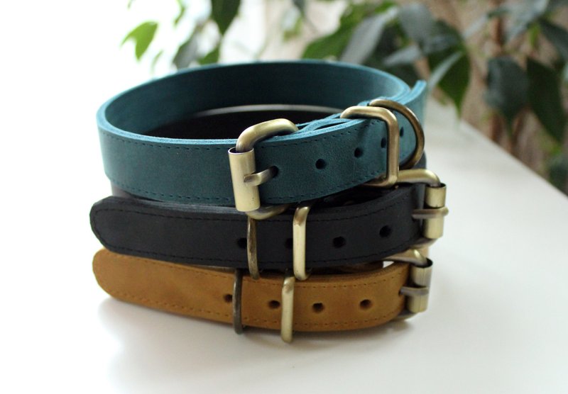 Genuine Leather simple dog collar Pet collar Medium dog Puppy leather dog collar - Collars & Leashes - Genuine Leather Multicolor
