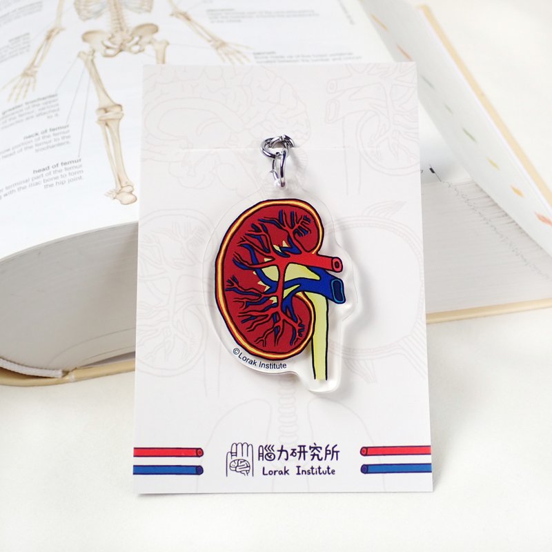 Kidney Organ Keychain Keychain - Keychains - Plastic 