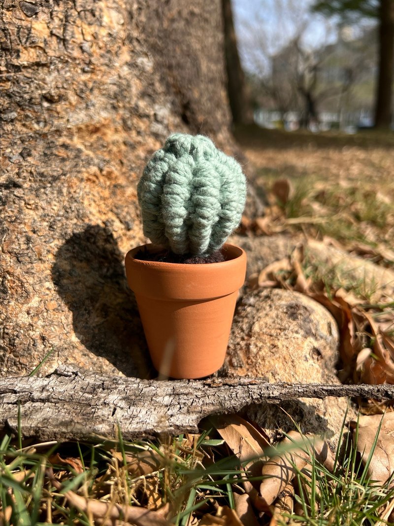 【Hola Macrame】Weaving everlasting plant cactus succulents - ตกแต่งต้นไม้ - ผ้าฝ้าย/ผ้าลินิน 