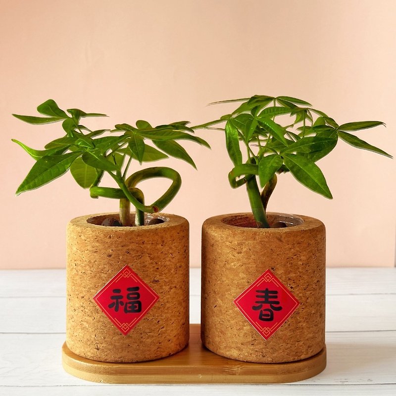 2024 New Year fortune-enhancing environmentally friendly cork potted money tree office potted plant New Year good luck potted plant - Plants - Cork & Pine Wood Brown