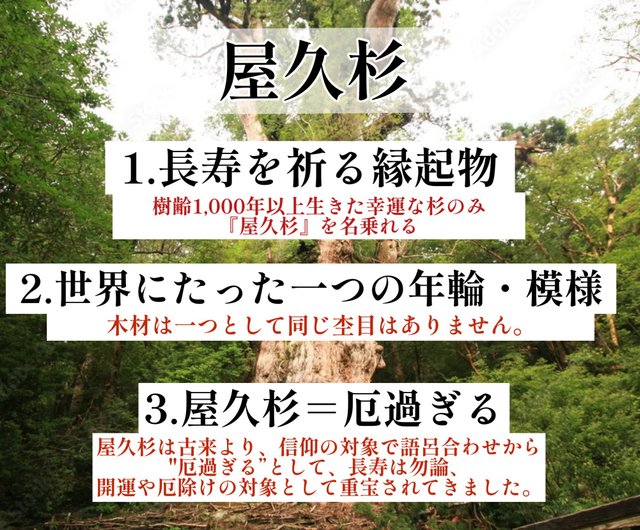 世界に1本だけ】長寿の木・屋久杉ボールペン 長寿を祈る贈り物に