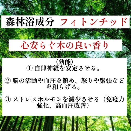 世界に1本だけ】長寿の木・屋久杉ボールペン 長寿を祈る贈り物に