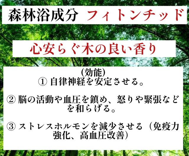 世界に1本だけ】長寿の木・屋久杉ボールペン 長寿を祈る贈り物に