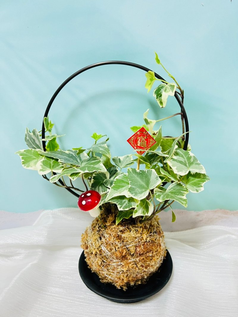虎年圓圓滿滿水苔球 森林系壁植 室內文青植栽 - 盆栽/植栽 - 其他材質 咖啡色