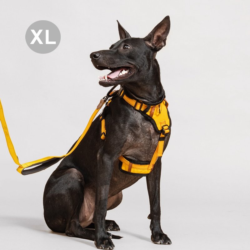 Pawfect-Fit! Pet Harness 機能寵物胸背帶2.0(XL) - 項圈/牽繩 - 聚酯纖維 
