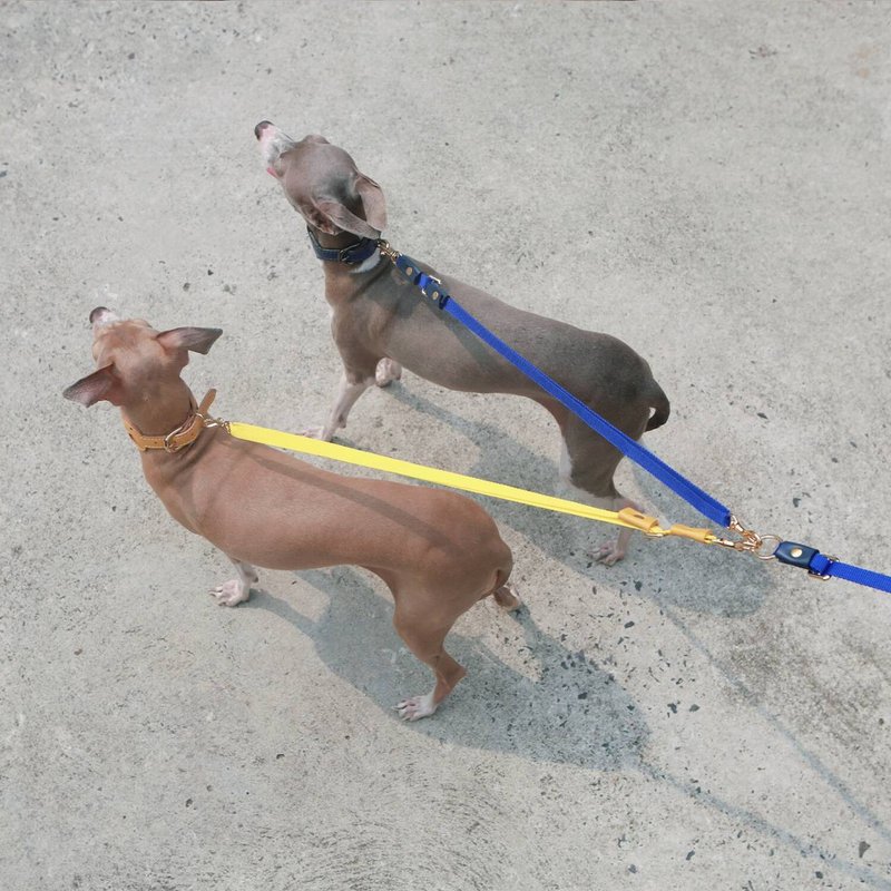 Adjustable additional short leash for Classic Multifunction leash, Multiple Pets - 貓狗頸圈/牽繩 - 真皮 黃色