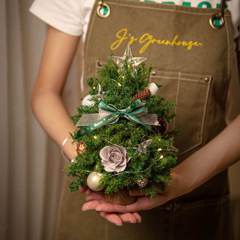 [Christmas Tree DIY] Star Star Wish Small Everlasting Flower Christmas Tree | Taichung Floral Class Cultural Coin - จัดดอกไม้/ต้นไม้ - พืช/ดอกไม้ 