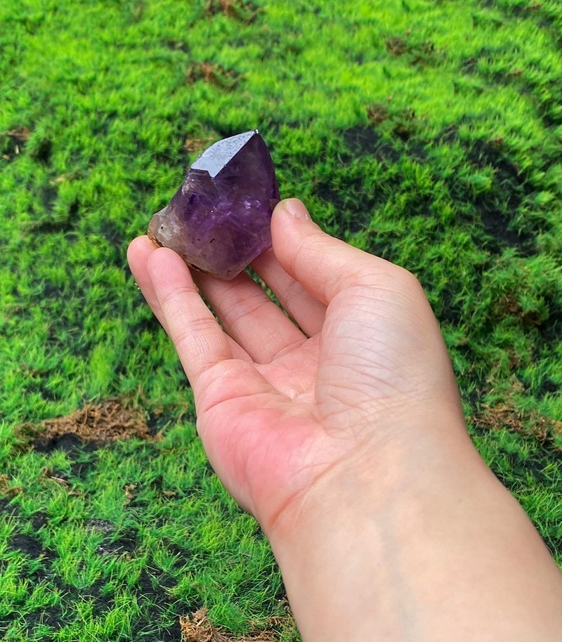 能量擺飾-天然紫晶骨幹 紫水晶 招財 智慧 開運 快速出貨 - 擺飾/家飾品 - 水晶 紫色