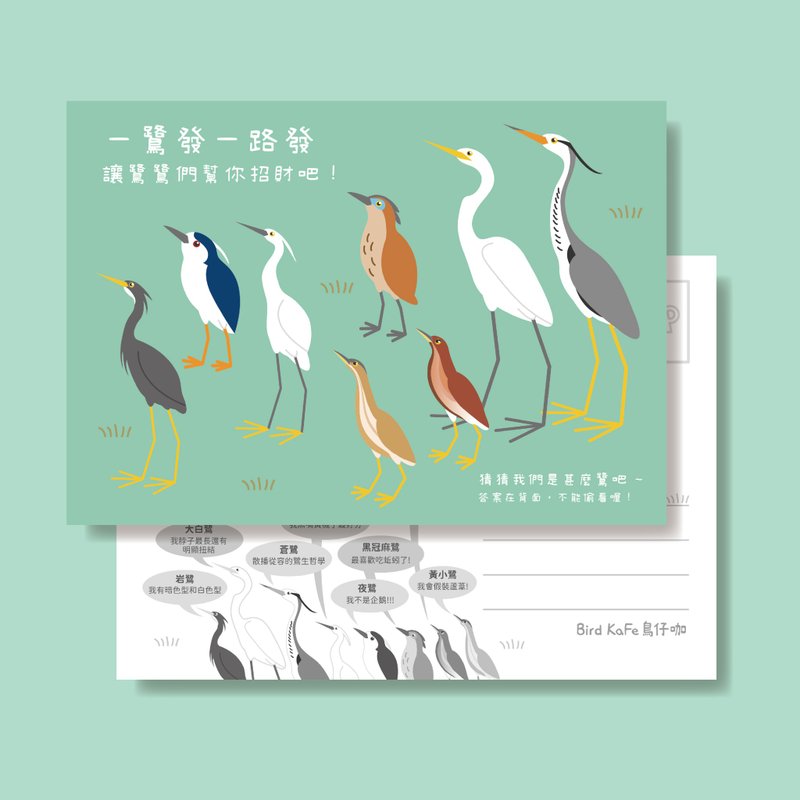 Bird Postcards | A Heron Hair | 8 Egret Birds - การ์ด/โปสการ์ด - กระดาษ สีน้ำเงิน