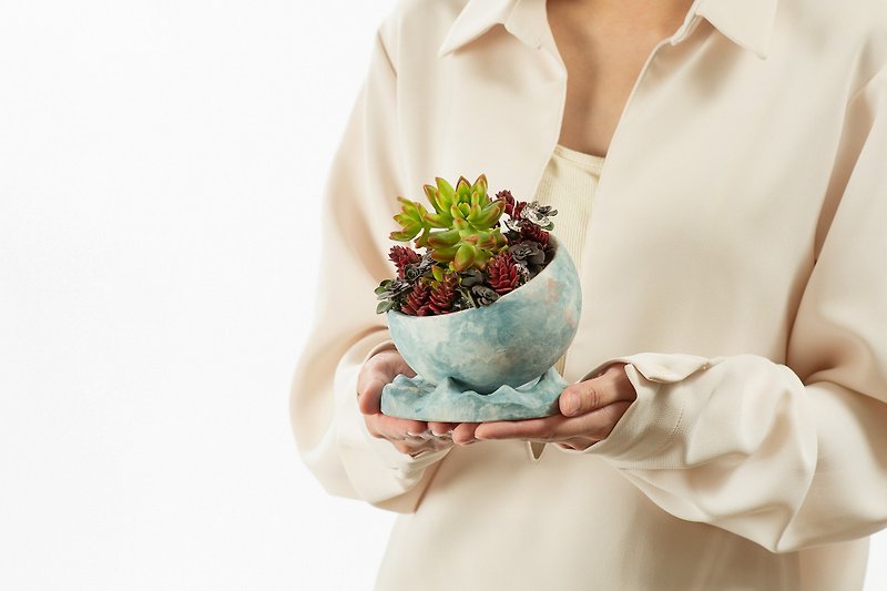 Mother's Day Gift - Eternal Star / Potted Plant Succulent Taiwan Design with Meat - Plants - Plants & Flowers Blue